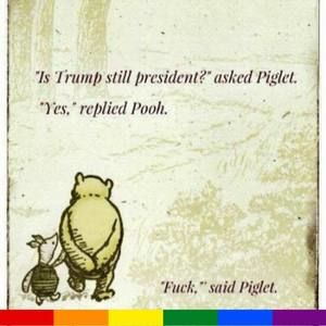 Meet your Posher, Linda